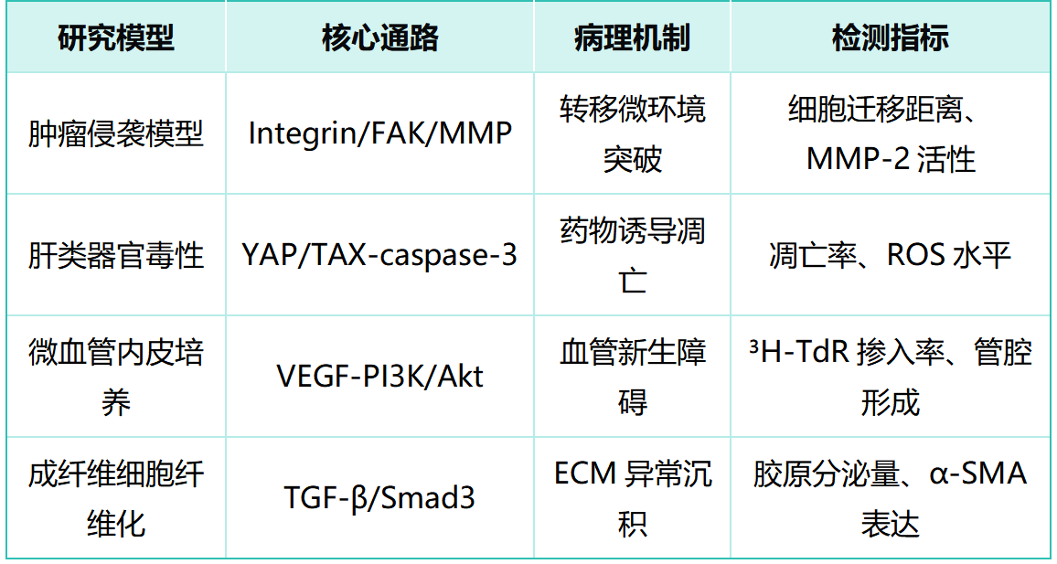 Ⅰ型鼠尾膠原應(yīng)用場景（四）——病理機制