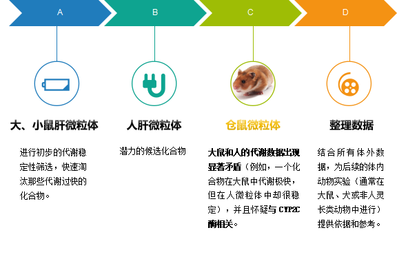 微粒體定制系列（七）——倉鼠肝微粒體Hamster Liver Microsomes