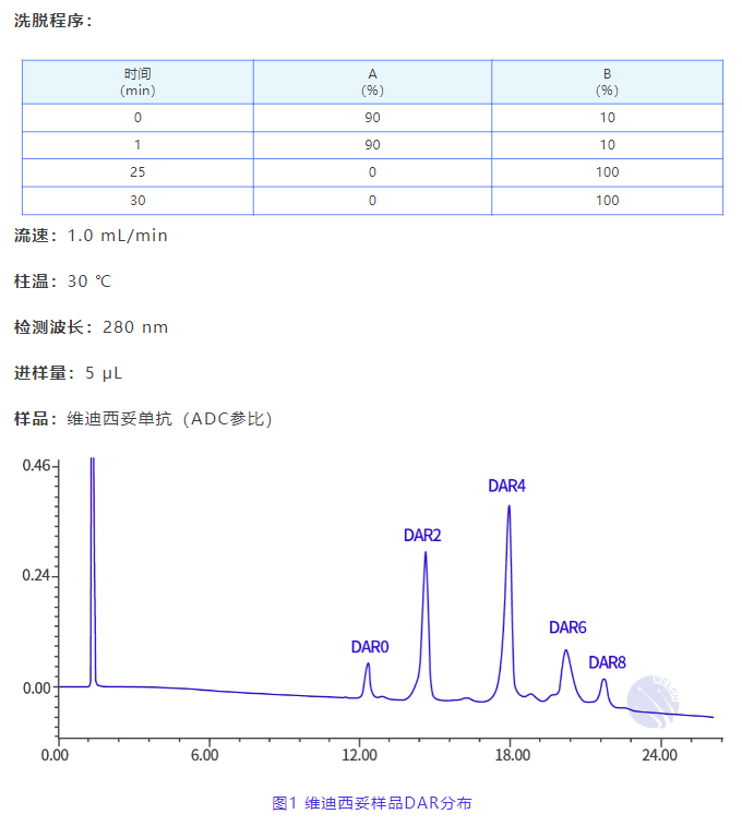 賦能ADC研發：月旭科技推出DAR分析關鍵鑰匙