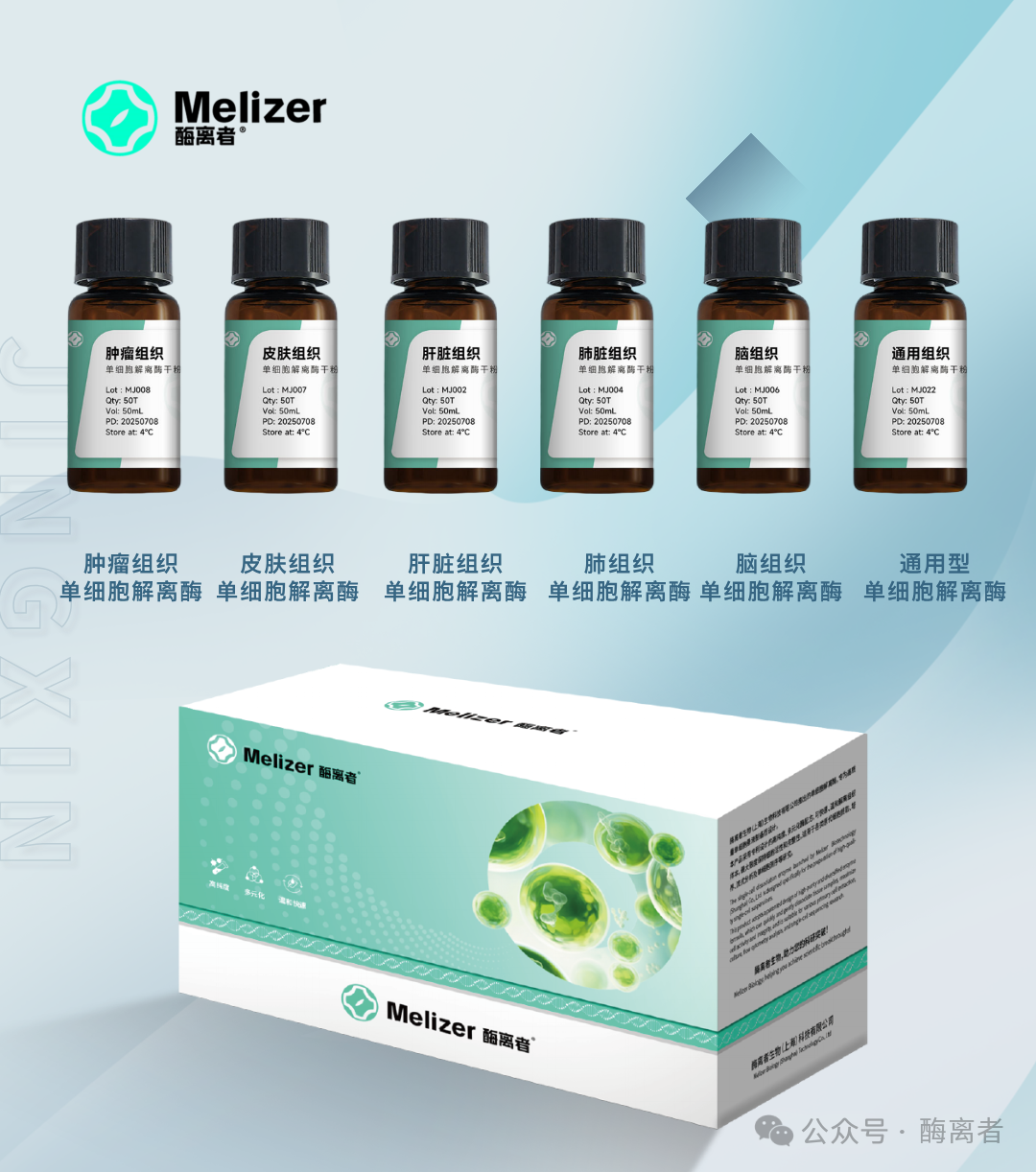 3dfecb4f8c34052139da3972b2d9c02d.png 解離酶