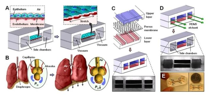 圖示描述已自動生成