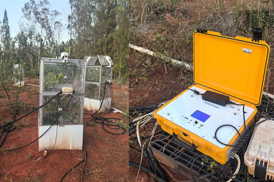 会议新闻 | 理加联合出席2025年云南省自然生态监测网络工作培训会