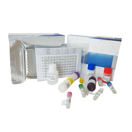 上海研域生物操作人ELISA檢測試劑盒保質前使用 上海研域生物操作人ELISA檢測試劑盒保質前使用