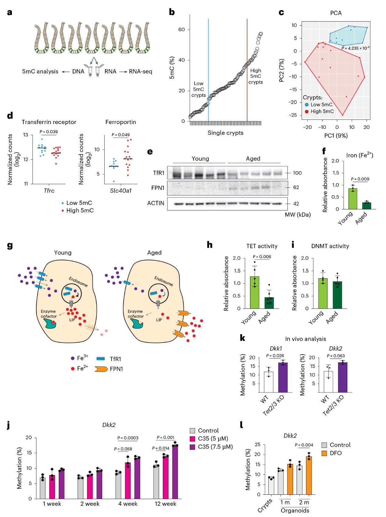 6390104828098583381782565