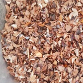 从数小时到几分钟:看蚂蚁科仪如何“刷新