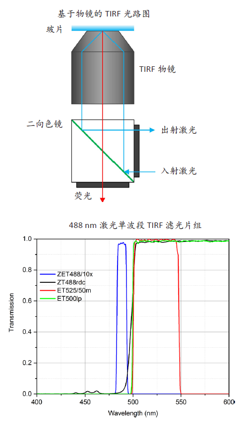 【Chroma光學濾光片】—— 為科研與工業(yè)提供拉滿光學性能的萬用解決方案