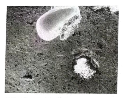 图片11.png 焊球剪切测试的影响因素(三):厚膜金属层界面挑战与复合键合测试