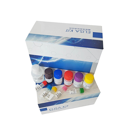人ELISAkit 人ELISAkit