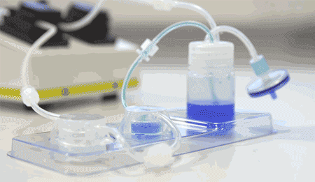 Lonza人原代肝脏细胞、肝脏非实质细胞Human Hepatocytes产品介绍