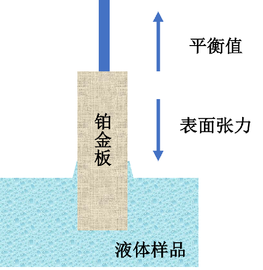 一文详解表面张力仪