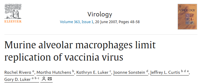 肺部巨噬細胞清除|氯膦酸鹽脂質體Clodronate Liposomes氣管給藥文獻一