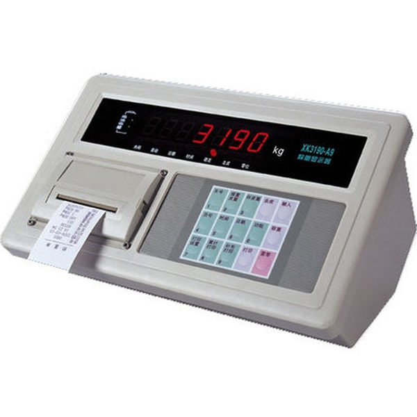 电子地磅称重仪表 (1).jpg