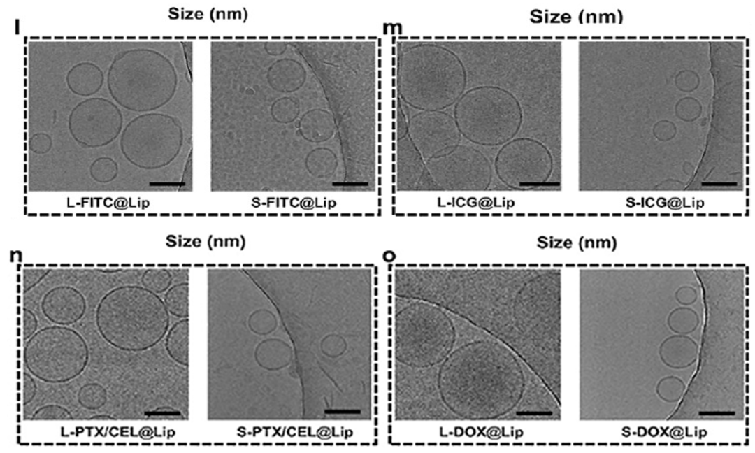 聲空化微流控器件實驗結果2