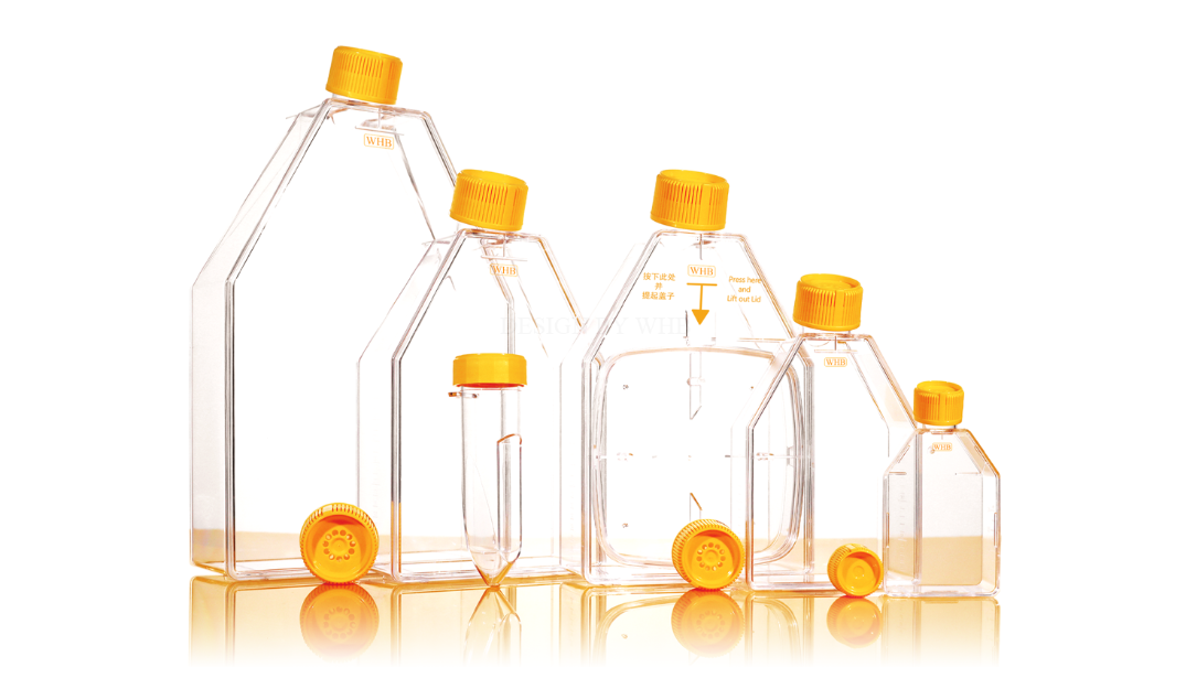 上海卧宏WHB-BIO代理商 2026年卧宏生物授权代理-上海起发