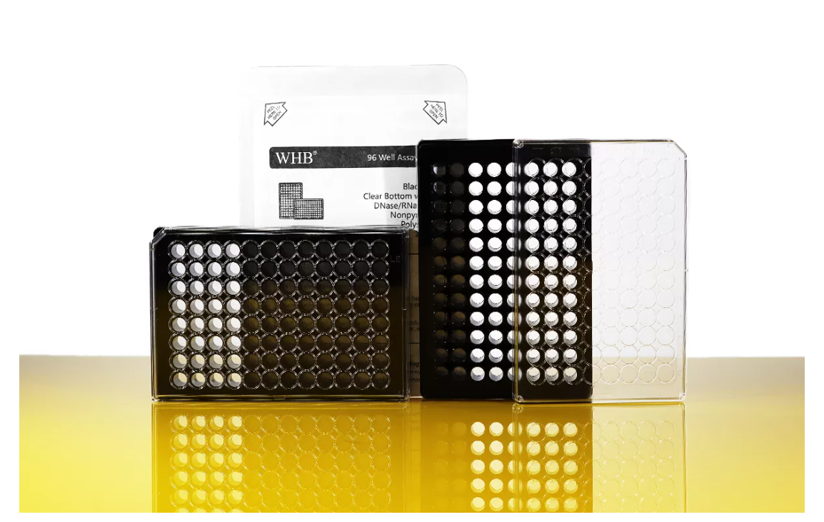 WHB-BIO上海卧宏生物代理商 2026年卧宏生物授权代理-上海起发