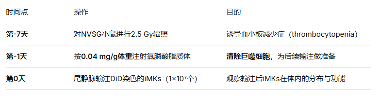image.png 巨噬细胞清除剂在化学诱导重编程T细胞向巨核细胞的应用原理