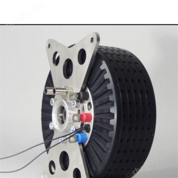 EMRAX軸向磁通永磁同步電機(jī)188