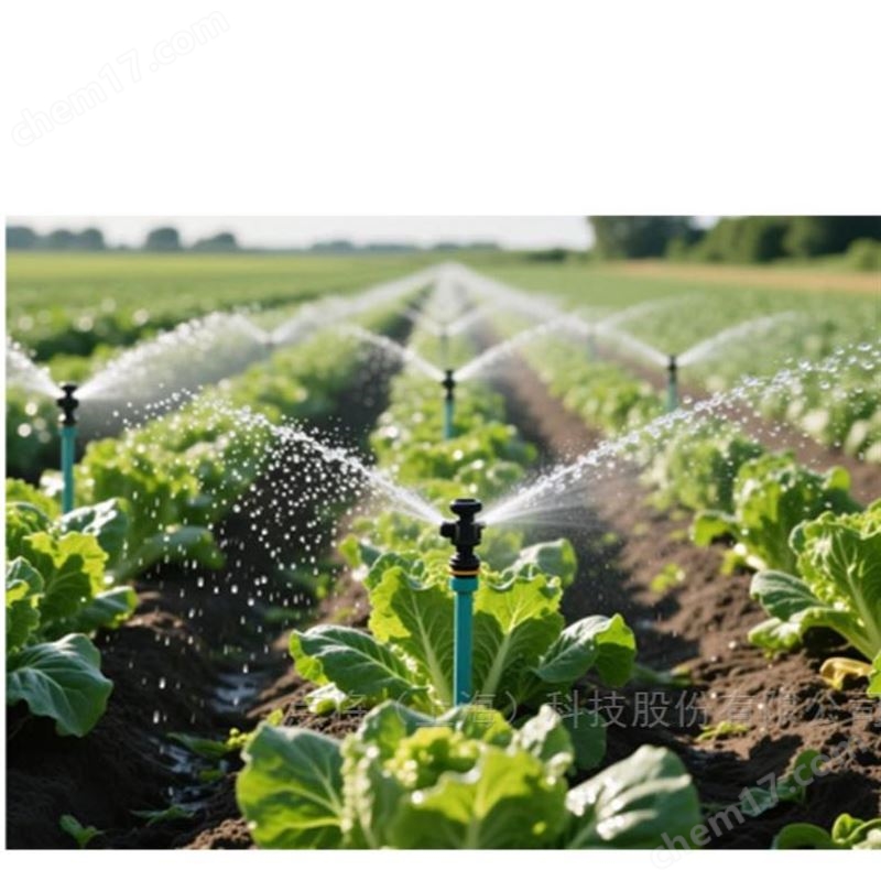 DJ-6219科研級(jí)智能灌溉解決方案