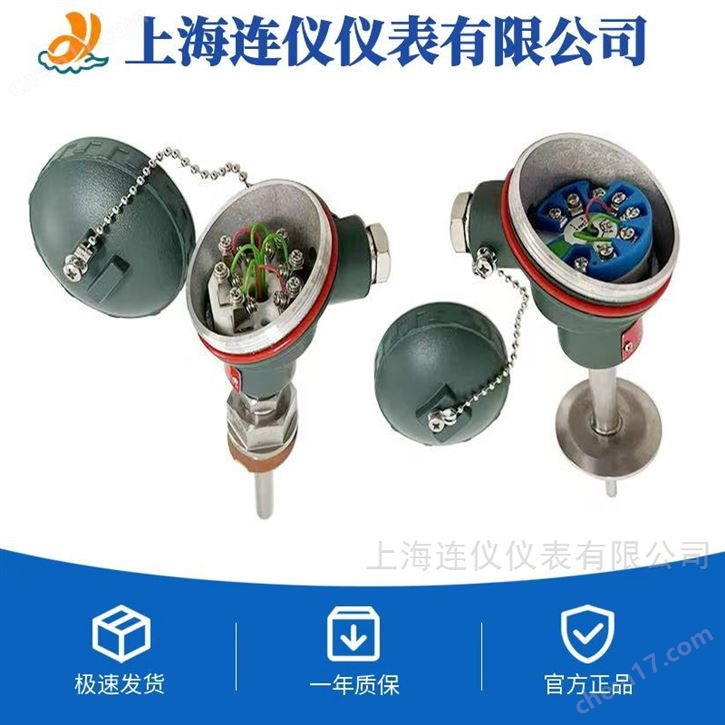 WZP2-130/230化工專用防腐蝕型熱電偶熱電阻