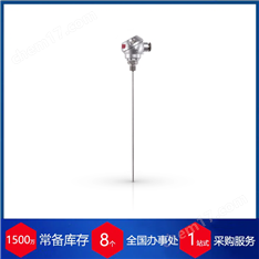 代理德國Gunther熱電偶