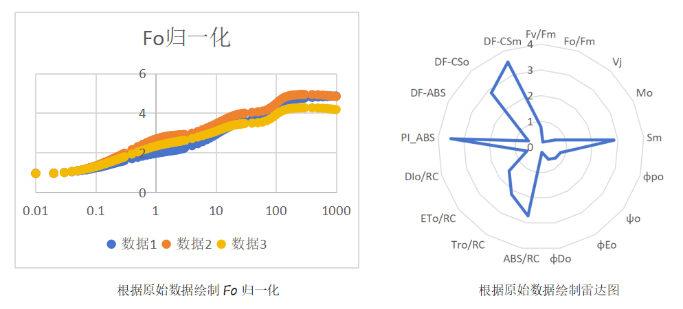 Yaxin-1165  植物熒光動力學測量系統