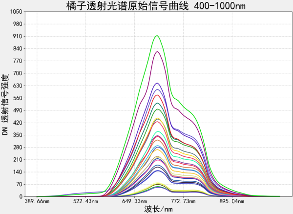 采集橘子400-1000nm透射+反射光譜數(shù)據(jù)