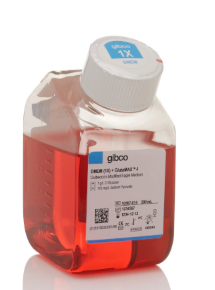 低糖，含 GlutaMAX&trade; 添加剂，含丙酮酸盐