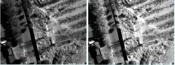 13.jpg Gaiasky-mini-NIR近红外高光谱无人机系统