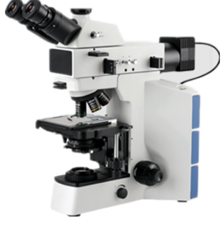 正置金相显微镜